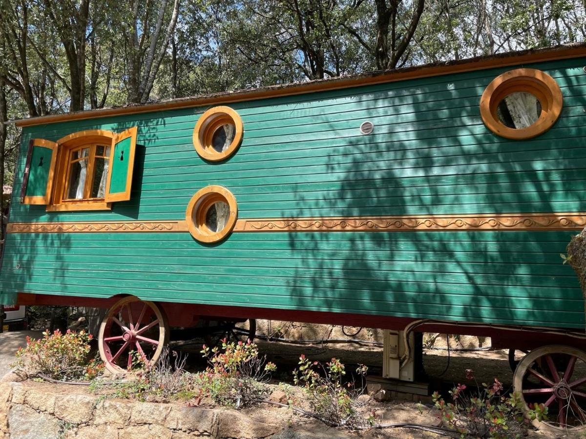 Camping Les Oliviers Porto  Kültér fotó