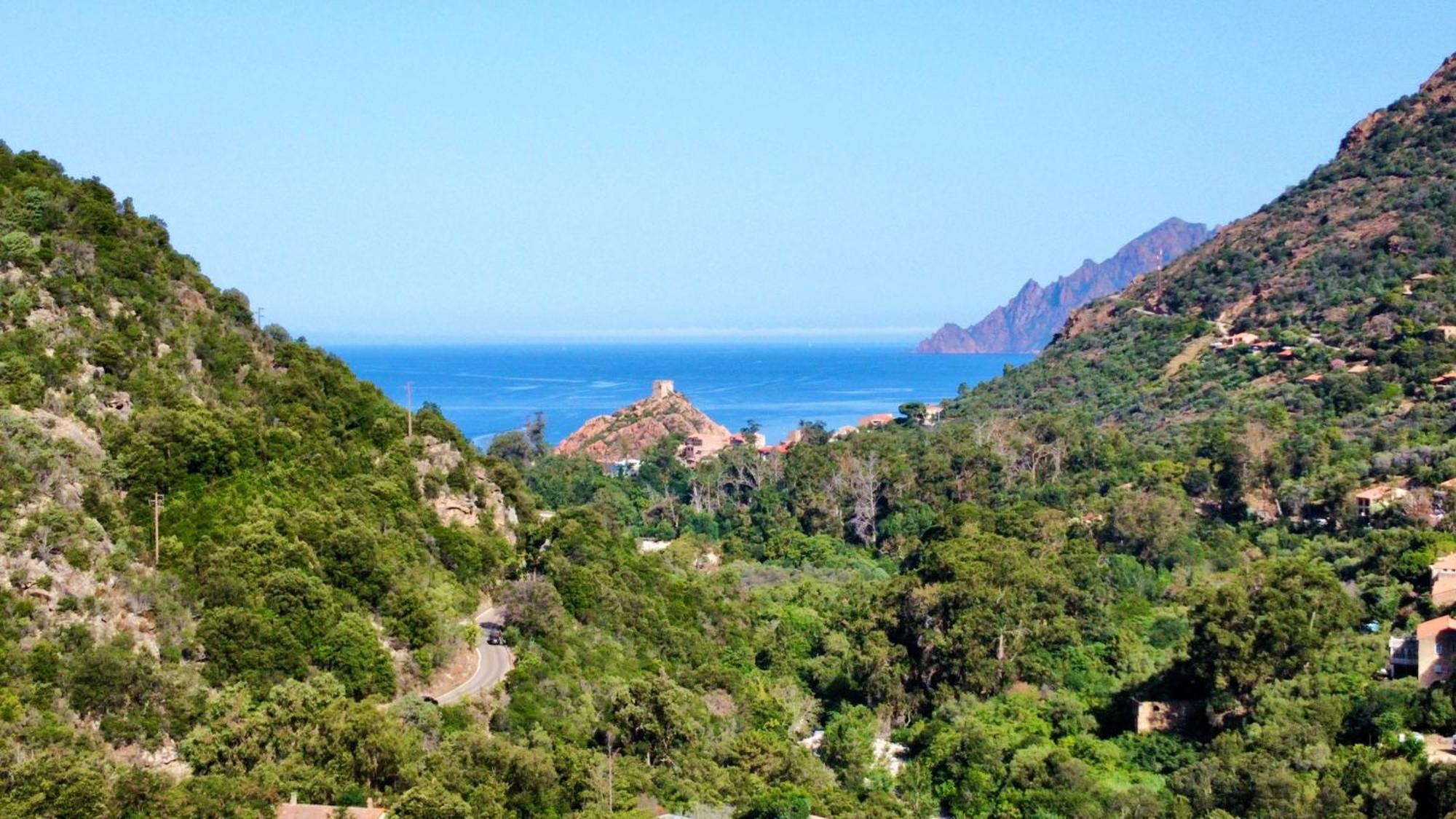 Camping Les Oliviers Porto  Kültér fotó