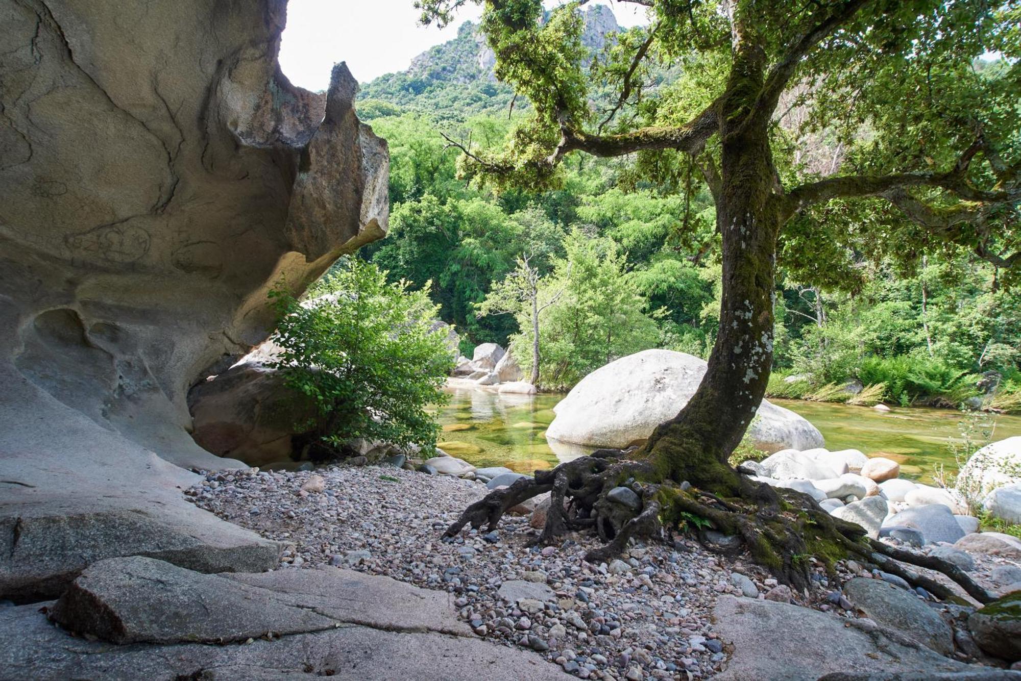 Camping Les Oliviers Porto  Kültér fotó